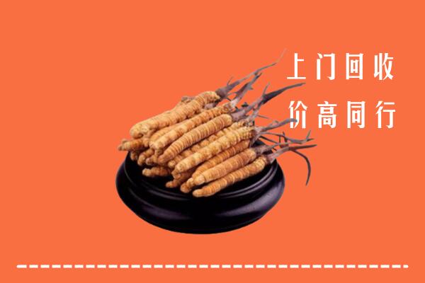 高价求购：青岛回收散虫草