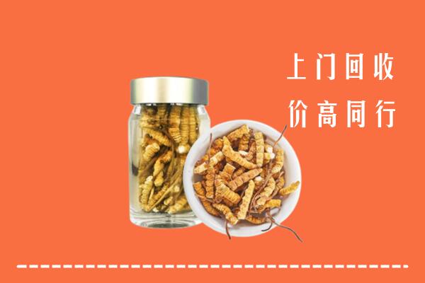 青岛回收冬虫夏草