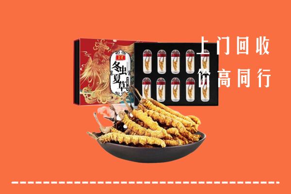 青岛回收虫草